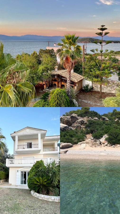 Villa Sul Mare Chalkís Exterior foto